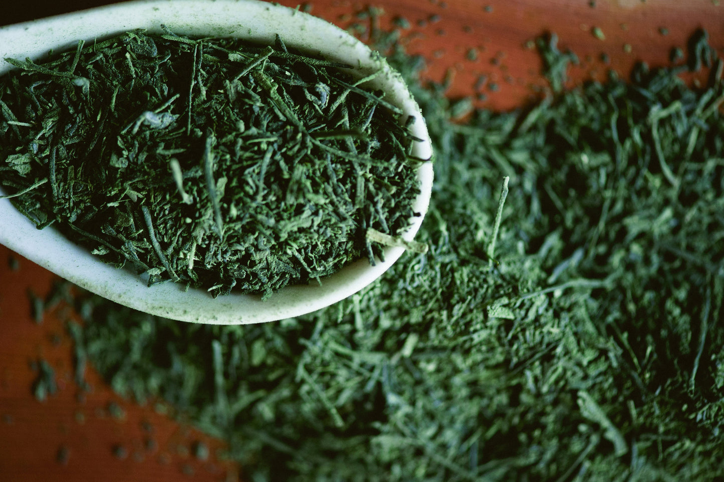 Matcha Sencha Yabukita - Ranger Tea