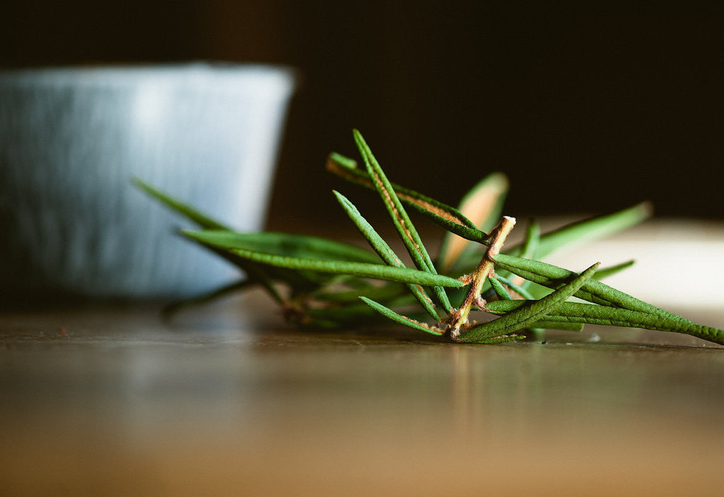 MamaittuKutik (Labrador Tea) 2022 - Ranger Tea