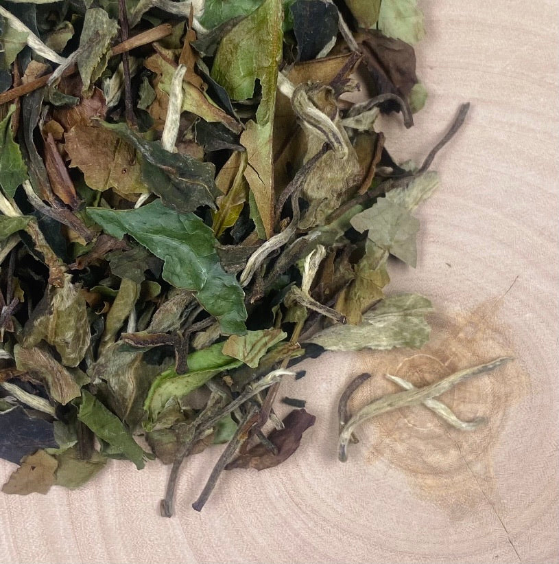 White Tea - Bai Mu Dan - Ranger Tea